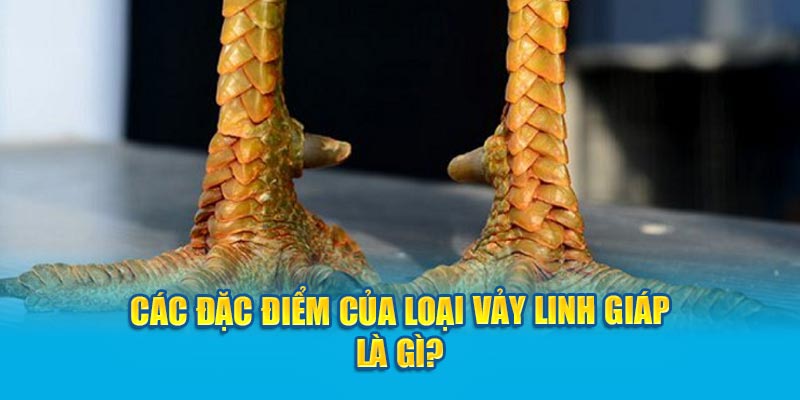 Các đặc điểm của loại Vảy Linh Giáp là gì?