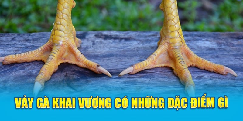 Vảy gà Khai Vương có những đặc điểm gì