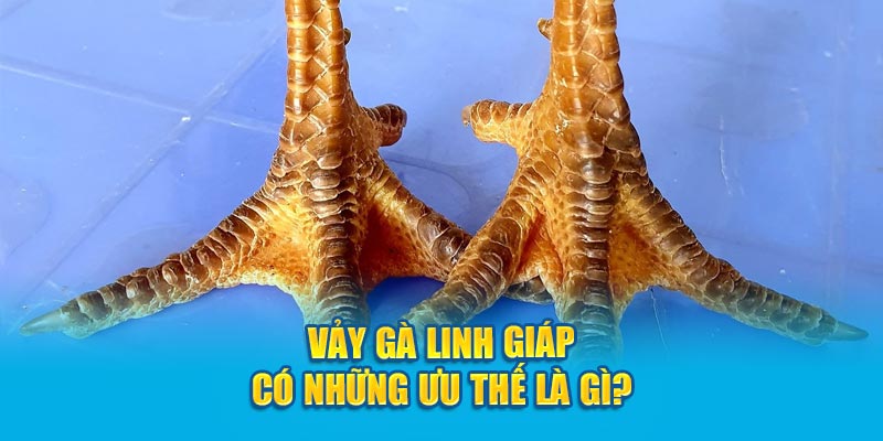 Vảy gà Linh Giáp có những ưu thế là gì?