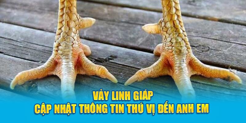 Những thông tin thú vị về vảy Linh Giáp